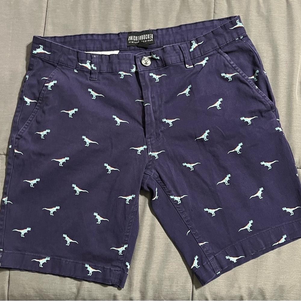 Knickerbocker Vintage Flex Fit Dinosaur Print Men's Shorts
